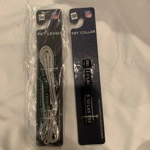 Pet leash and collar